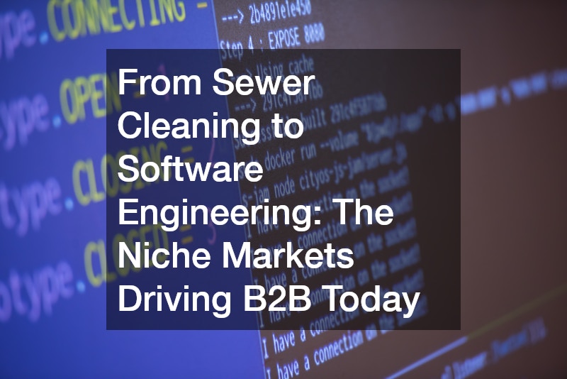 From Sewer Cleaning to Software Engineering  The Niche Markets Driving B2B Today